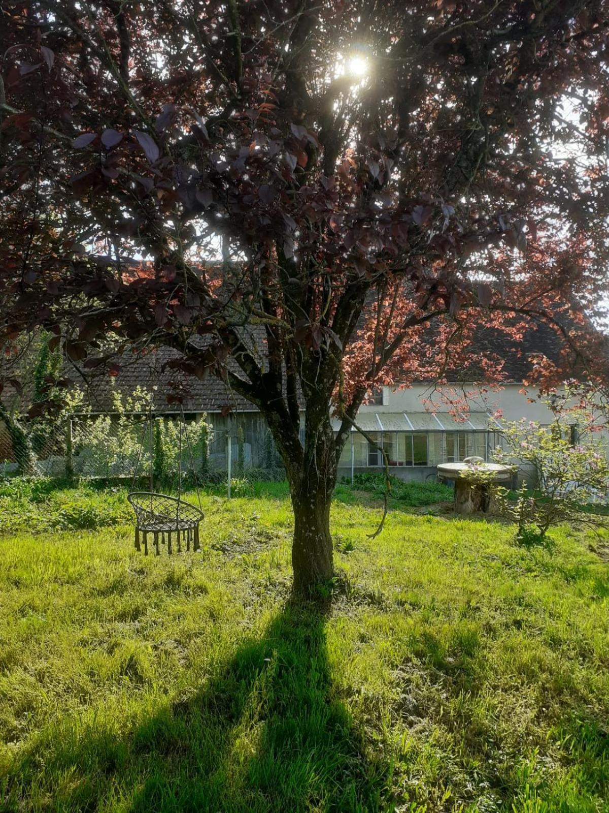 Location De Chambres Bienvenue Chez Meme Treigny Bagian luar foto