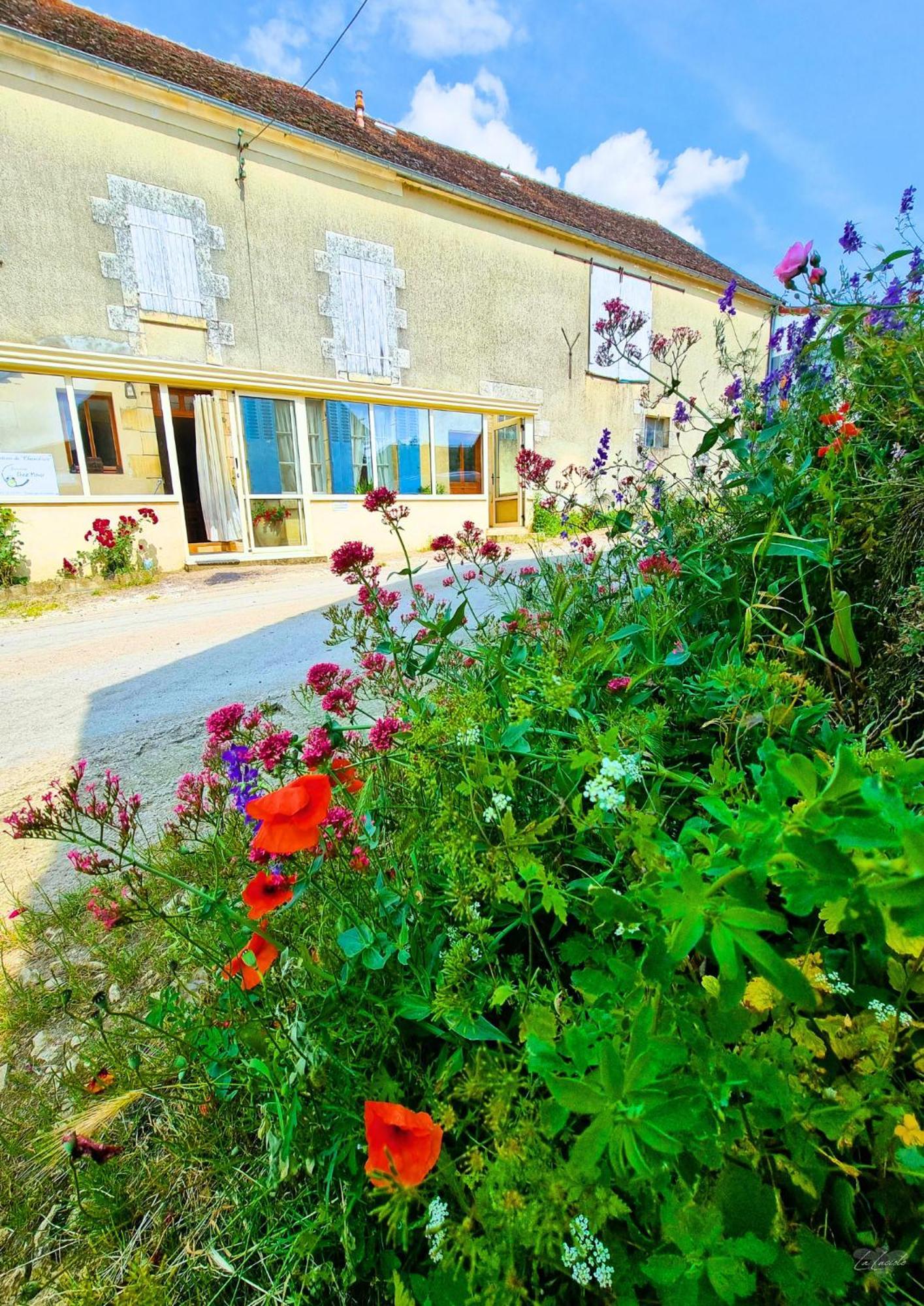 Location De Chambres Bienvenue Chez Meme Treigny Bagian luar foto